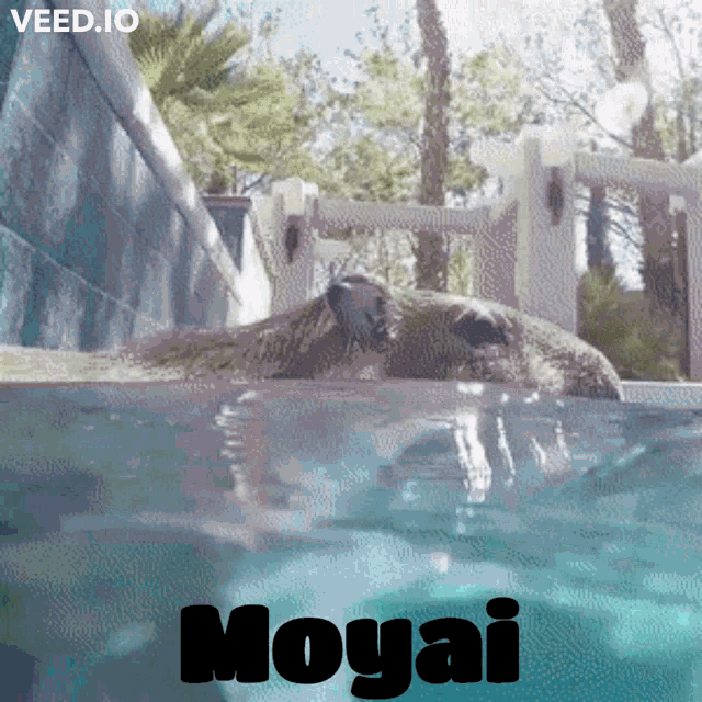 Moai Pet The Moai GIF - Moai Pet The Moai - Discover & Share GIFs