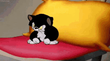Chatem1234 Angry Cat GIF