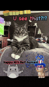 a cat laying on a bed with a happy 4th gay human written on it
