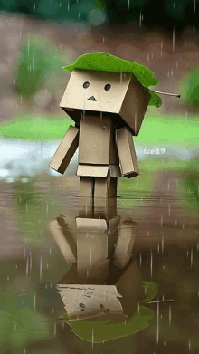 Box Kid GIF - Box Kid Rain GIFs