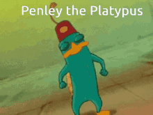 Perry GIF - Perry GIFs