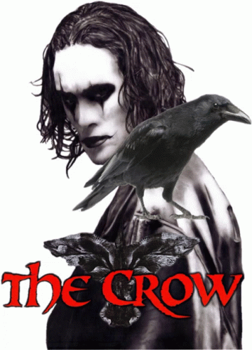 The League Crow Sticker - The League CROW - Discover & Share GIFs