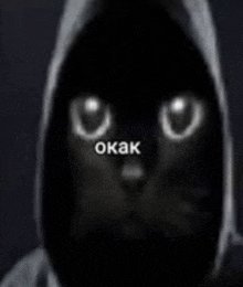 a black cat wearing a hooded jacket with glowing eyes .