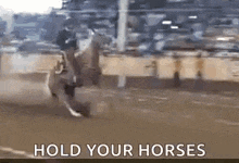 Hold Your Horses Slow Down GIF - Hold Your Horses Horse Slow Down GIFs