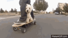 Westie Skateboard GIF
