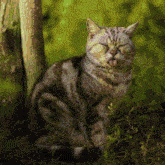 a cat sticking its tongue out while sitting in the grass