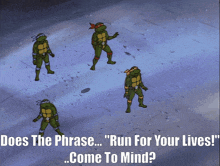 four teenage mutant ninja turtles standing next to each other with the caption " does the phrase " run for your lives " come to mind