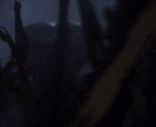 a close up of a creature in a dark room with a blurred background