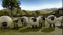 Shaun Sheep GIF - Shaun Sheep Windy GIFs