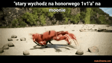 a crab is running on a sandy beach with the caption " stary wychodz na honorwego 1v1 'a " na moonie