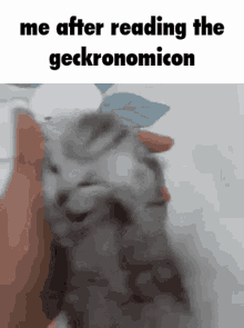 Geckronome GIF