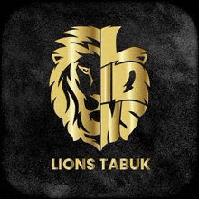Lions Tabuk GIF - Lions Tabuk GIFs