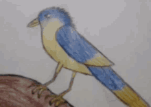 Grumpy Bird GIF - Grumpy Bird Art GIFs
