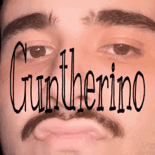 Guntherino GIF - Guntherino GIFs