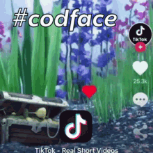 Cod Face Dance GIF