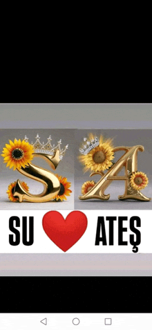 the letters s and a are surrounded by sunflowers and a red heart