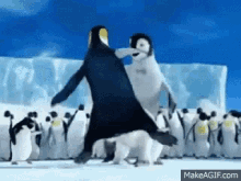 Viva Love GIF - Viva Love Penguin GIFs