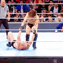 Daniel Bryan Brock Lesnar GIF - Daniel Bryan Brock Lesnar Stomps GIFs