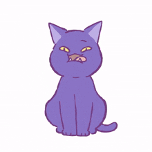 cat kitty purple cute kidding