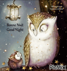 Owl Good Night GIF - Owl Good Night Bonne Nuit GIFs