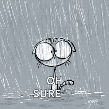 Rainy Cat GIF - Rainy Cat Raining GIFs