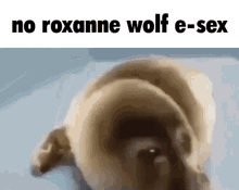 No Roxanne Wolf GIF - No Roxanne Wolf Roxanne GIFs