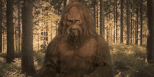 shocked mind blown shook bigfoot sasquatch