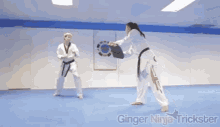 Taekwondo Kick GIF - Taekwondo Kick GIFs