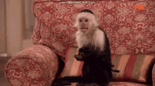It Wasnt Me GIF - It Wasnt Me GIFs