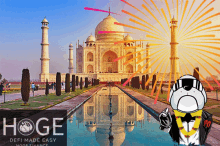 Hoge Finance India Crypto GIF - Hoge Finance India Crypto GIFs