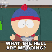 What The Hell Are We Doing Stan GIF - What The Hell Are We Doing Stan South Park GIFs