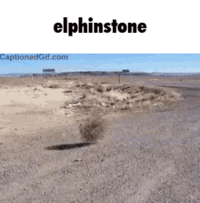 Elphinstone Castlemaine GIF - Elphinstone Castlemaine Australia GIFs