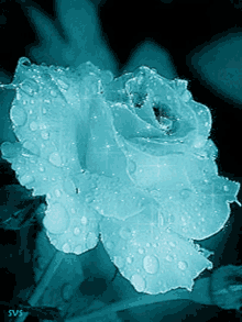 Flowers For GIF - Flowers For Her GIFs