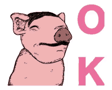 Pig Okay GIF