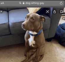 Sitting Gay GIF - Sitting Gay GIFs