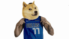 Dogecoin Dallas GIF - Dogecoin Dallas Mavs GIFs