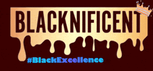 Black Excellence Blacknificent GIF