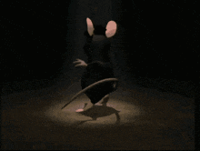 a cartoon rat wearing a top hat is standing in a dark room