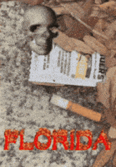 a skull and a cigarette on the ground with the word florida