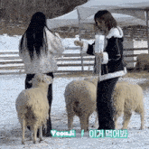 two women feeding sheep with yeonji written on the bottom right