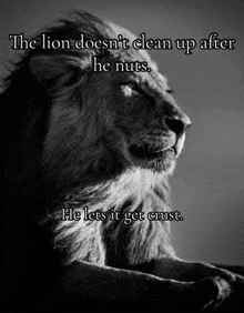 a black and white photo of a lion with the caption " the lion doesn 't clean up after he nuts "