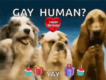 a group of dogs standing next to each other with a heart that says " happy birthday "