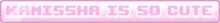 a pink and white banner that says ' kameshima is so cute ' on it