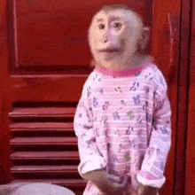 a baby monkey is standing in front of a red door .