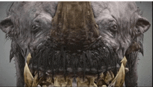 a close up of a monster 's face with a beard and large teeth