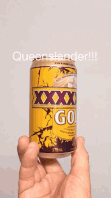 queenslander beer lager gold australian