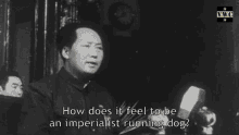 Bamdad Mao Capitalism GIF - Bamdad Mao Capitalism GIFs