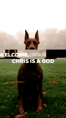 Dog Welcome GIF - Dog Welcome Chris GIFs