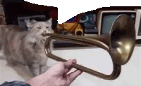 Cat Trumpet Sticker - Cat Trumpet Silly Stickers