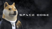 Spacedoge1234 GIF - Spacedoge1234 GIFs